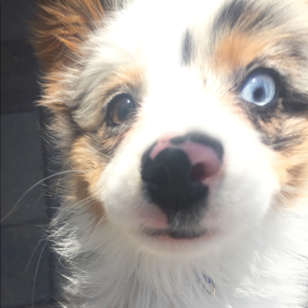 Meet your Posher, Mere